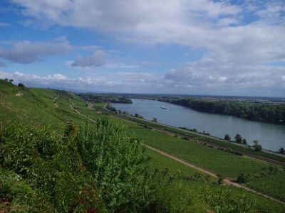 Rheinhessen