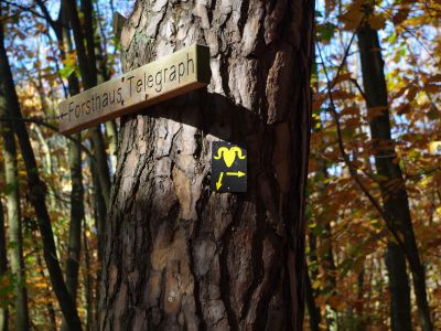 Widderweg